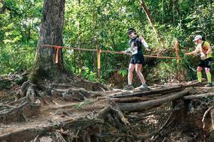 BIB: 
                            <button type="button" onclick="openModal(27558073)" class="btn btn-primary btn-sm float-right btn-popup" data-toggle="modal" data-target=".modal-high-quality">
                        <i class="fas fa-shopping-cart"></i> Add to Cart
                    </button>
                                            <button type="button" onclick="isThisMe(27558073, true)" class="btn btn-success btn-sm float-right btn-popup btn-isme hidden" data-toggle="tooltip" data-placement="bottom" title="นี่คือรูปของคุณใช่ไหม คลิกที่นี่เพื่อเอาเข้าอัลบั้ม">
                        <i class="fas fa-plus"></i> Add to album
                    </button>
                    <button type="button" onclick="isThisMe(27558073, false)" class="btn btn-warning btn-sm float-right btn-popup btn-isnotme hidden">
                        <i class="fas fa-ban"></i> Remove from album
                    </button>